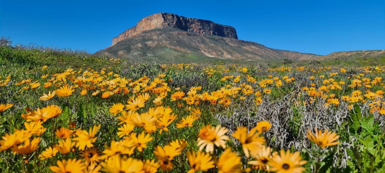 Mountain View Guesthouse Vanrhynsdorp ภายนอก รูปภาพ